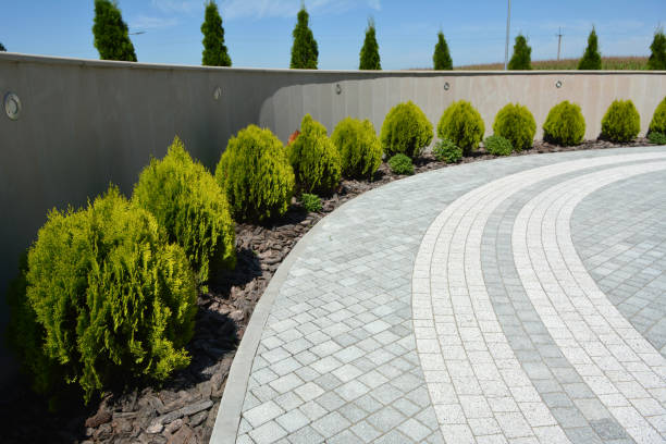 Best Driveway Pavers Near Me  in Vado, NM